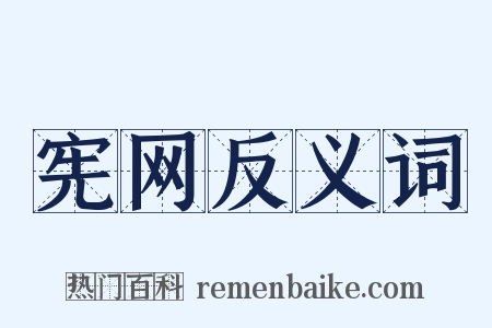 宪网反义词是什么意思的图片